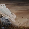 Snowy Owl