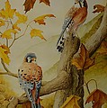 Appalachian Autumn 