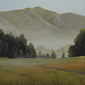 Appalachian Sandhill Cranes