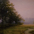 Foggy Morning, Oak Openings